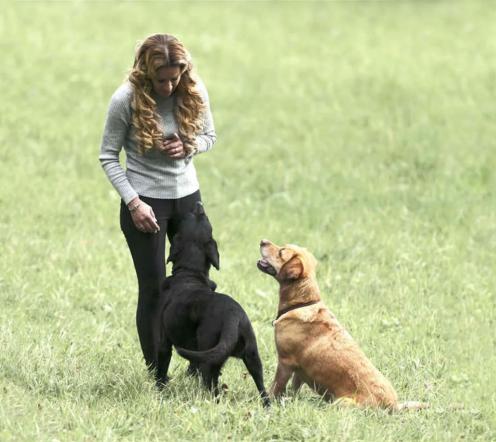 Alexandra Osterkorn Hundetrainerin isnhund.de