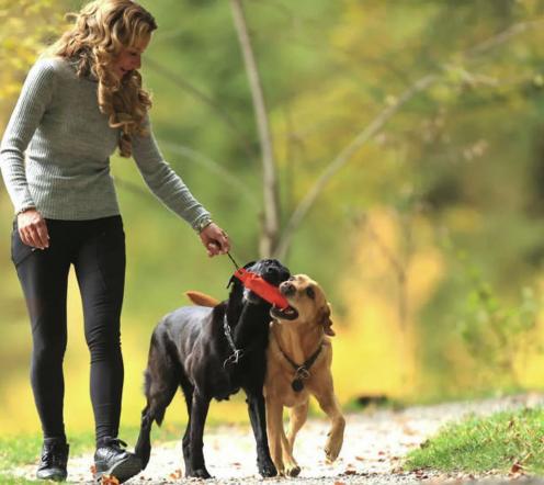 Alexandra Osterkorn Hundetrainerin isnhund.de